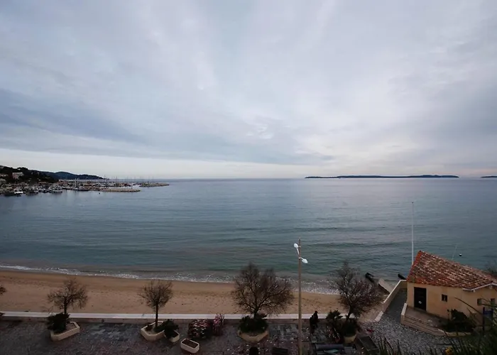 Le Lavandou, T2 Lumineux, Acces Direct Plage, Parking Prive - Fr-1-803-79 勒拉旺杜